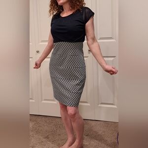 Stylish Monochrome Pencil Skirt